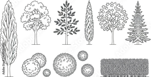 Set of hand drawn trees and shrubs for architectural landscape design in black and white vector style