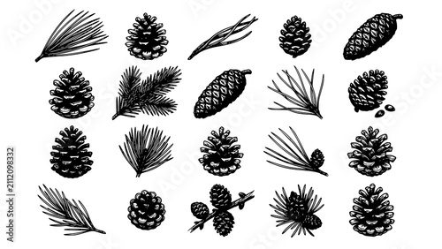 Konstfotografi Set of hand drawn pine cones and evergreen needles isolated on a white backgroun
