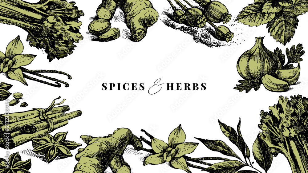 Fototapeta premium Sketch kitchen herbs and spices banner. Sticker collage poster. Cookbook cover. Menu design. Hand drawn vintage isolated vector illustrations.