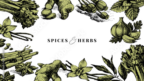 Sketch kitchen herbs and spices banner. Sticker collage poster. Cookbook cover. Menu design. Hand drawn vintage isolated vector illustrations.