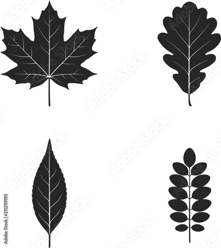 Leaf Silhouette Collection Set PNG Isolated on Transparent Background