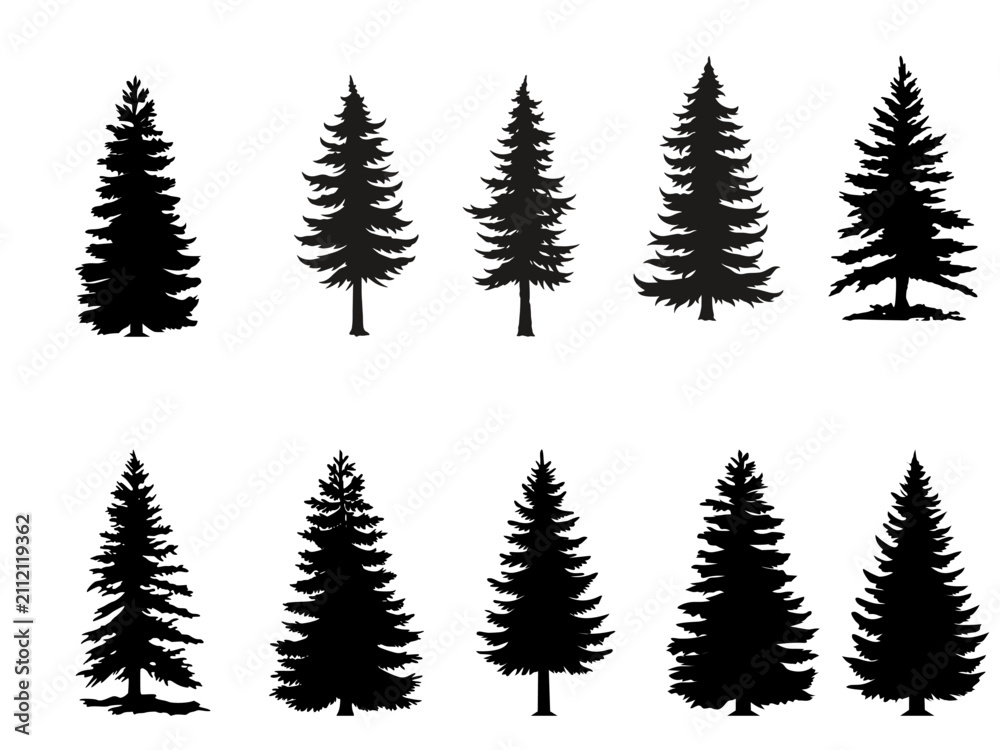 Obraz premium Pine Tree Silhouettes Set, Black Spruce and Fir Trees Vector Collection Isolated on White Background
