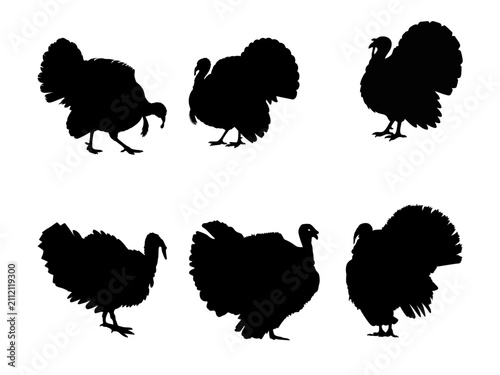Set of Black Turkey Silhouettes Isolated on White Background for Thanksgiving and Autumn Design