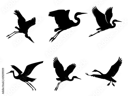 Heron and Egret Flying Silhouette Vector Set Isolated on White Background