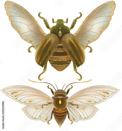 Fotografía Set of two watercolor fantasy insects with golden transparent wings, detailed vi