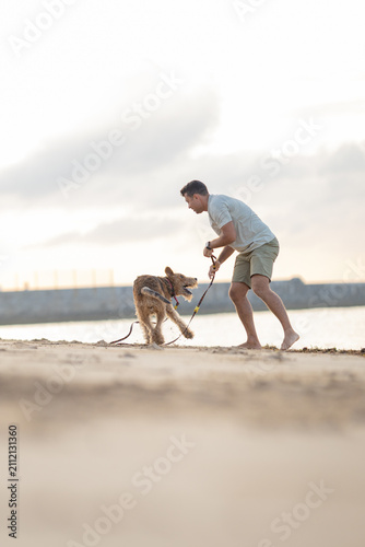 Man playing with a dog on a sandy beach during sunset, wearing casual clothing, with water and a distant shoreline visible in the background. Airedale Terrier