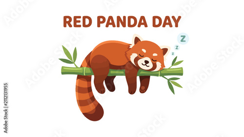 Red Panda Sleeping on a Bamboo Branch Vector Illustration