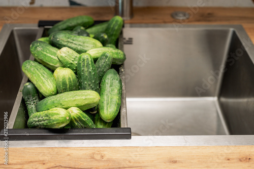 Принти на полотні Fresh homegrown cucumbers in a kitchen sink on a modern kitchen after harvest