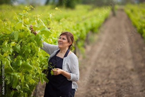 Canvastavla Full length portrait of a smiling female winemaker holding fresh green grape leaves standing in a vineyard with mountain background