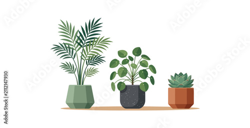 Potted Houseplant Vector Illustration Set