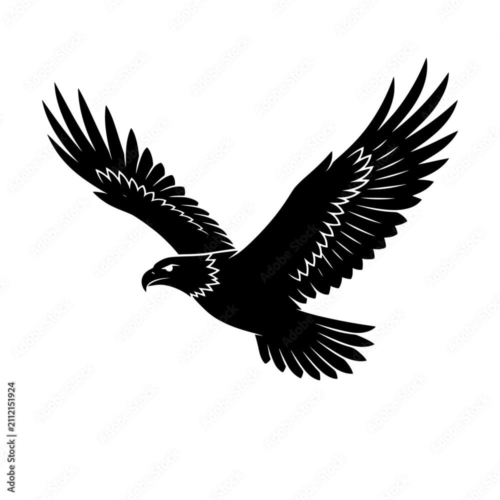 Fototapeta premium Eagle Flying with Wings Spread in Silhouette Against a White Background Featuring Bird, Nature, Wildlife with Animal and Feather