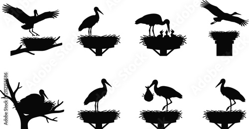 Foto Collection of black stork silhouettes with nests showing flying, feeding, and pa
