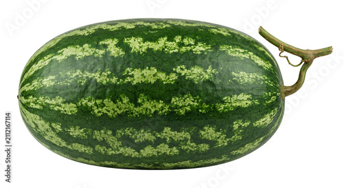 Konstfotografi Whole striped watermelon with a stem on a white background