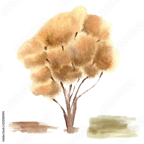 Foto Golden autumn tree with full textured yellow-orange canopy watercolor illustration isolated