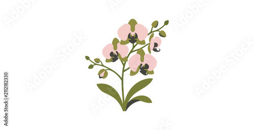 Minimal Pink Orchid Flat Design Vector Illustration