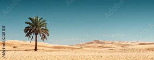 A sunlit desert scene featuring a lone palm tree, sand dunes, and clear blue sky