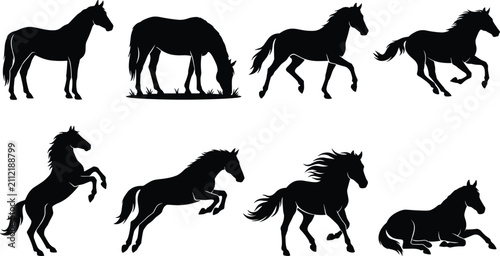 Bild auf Leinwand Horse Silhouette Collection Featuring Standing Grazing Running Galloping Rearing