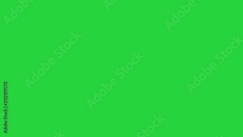 Animated YouTube Subscribe Button for Video Overlay. Like Subscribe Bell Notification Button, subscribe to channel. Green Screen