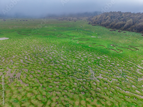 Karagöl Plateau in Taraklı, Sakarya – A Natural Painting of Springs, Forests and Mountains