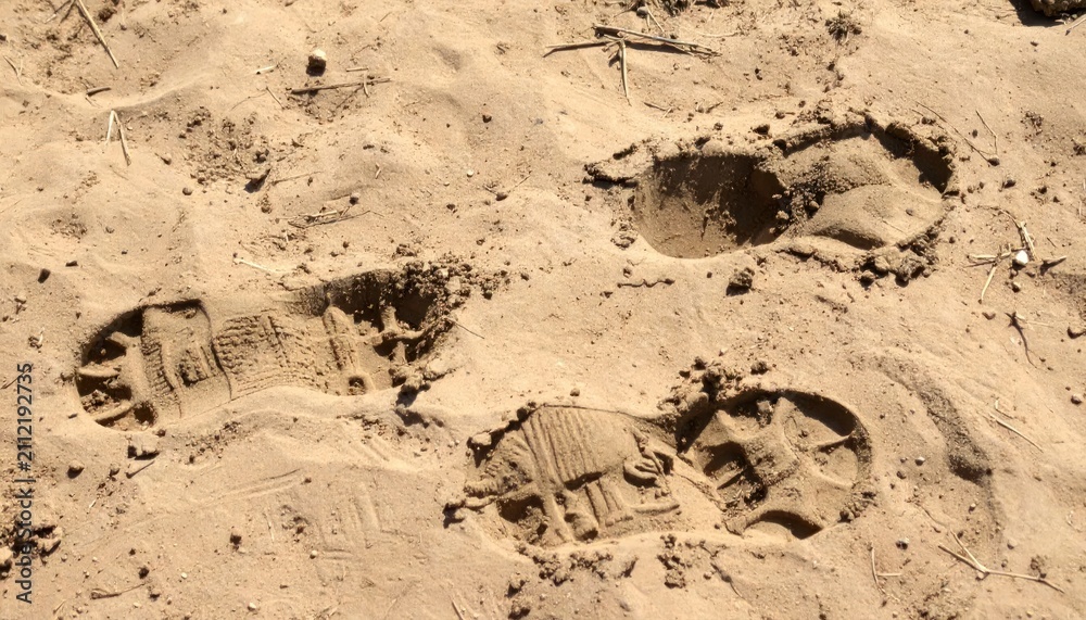 Obraz premium Human boot footprints left in dry soft sand.