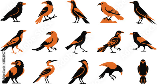 Принти на полотні Collection of various bird species illustrations isolated on a white background