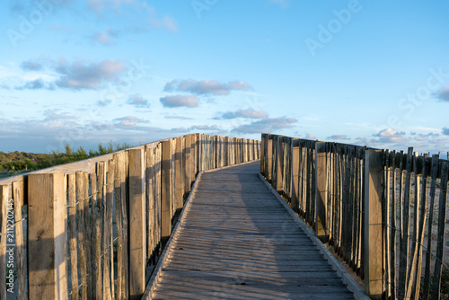 Scenic wooden boardwalk path leading through coastal dunes toward Labenne-Océan beach in the Landes, France. Sunset lighting, natural landscape nature photography.