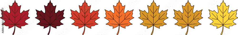 Fototapeta premium Autumn Maple Leaves Gradient Color Change Vector Illustration