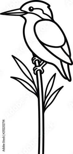 Fotografie Kingfisher bird line art, minimalist avian vector, perched bird coloring page