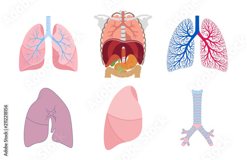 Canvas Print Vector illustration of human lungs respiratory system medical icons set