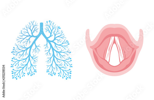 Canvastavla Vector illustration of human lungs and larynx anatomy for medical education and