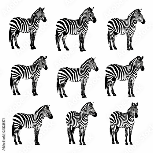 Photography Professional zebra silhouettes vector collection on white backdrop