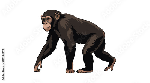 Canvas Print Black chimpanzee walking on all fours in natural habitat setting.