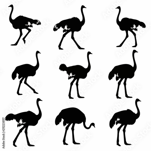 Detailed wild ostrich silhouette vector set isolated background