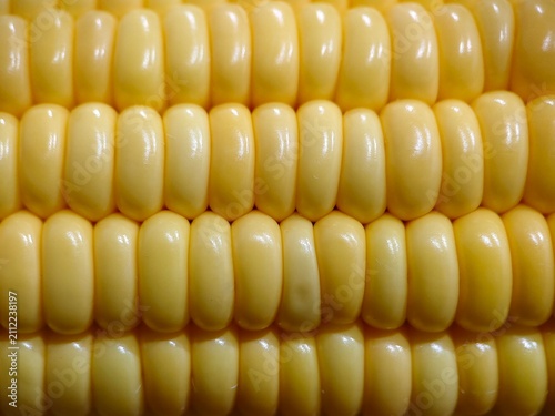Obraz na plátne Close up macro fresh sweet corn kernels texture, yellow corn cob background