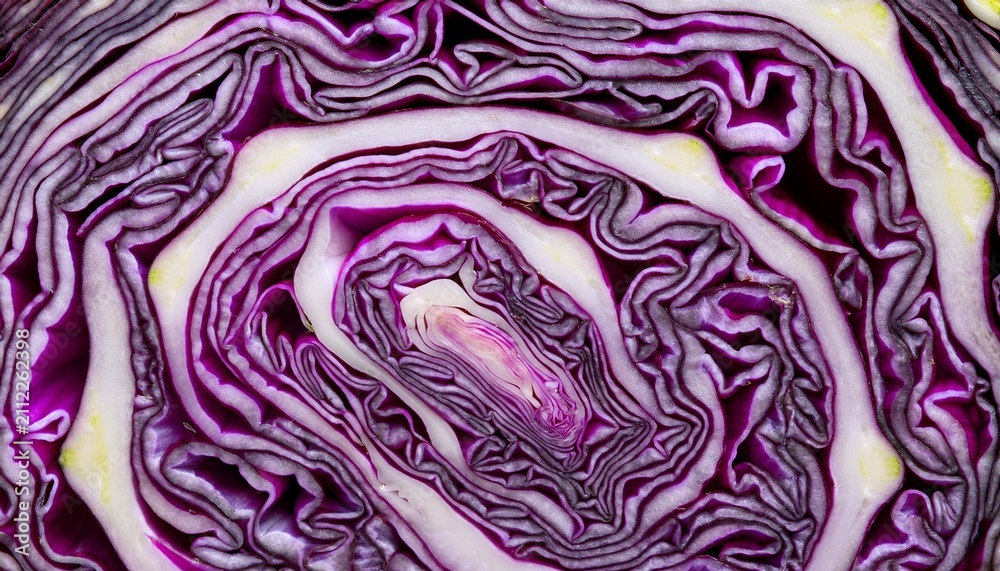 Obraz premium Red Cabbage Cross Section Texture Background