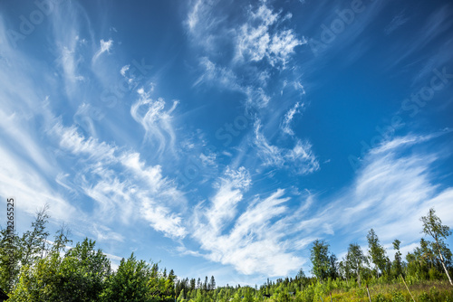 Cyrruswolken vor blauem Himmel