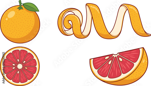 Set of fresh ripe grapefruit vector illustrations with whole fruit, spiral peel, and juicy slices