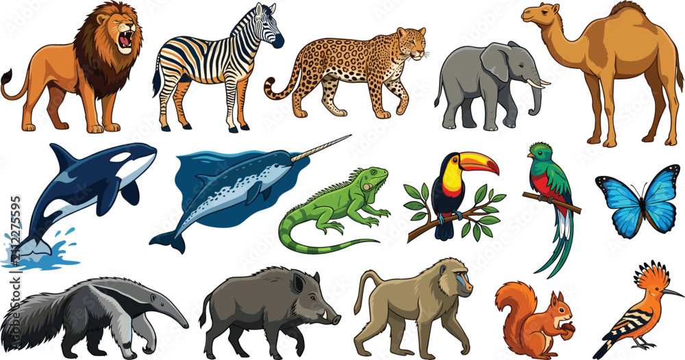Obraz premium Diverse wild animals and birds vector collection featuring lion zebra elephant killer whale toucan iguana and camel isolated on white background.