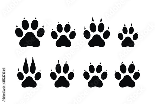 Set of animal paw prints, vector illustration of various predator footprints