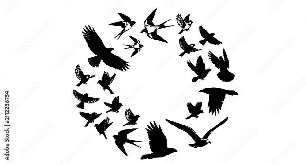 Fototapeta premium Hand Sketched Flying Birds Silhouette Collection Vector Set with Realistic Flight Poses Isolated on White Background