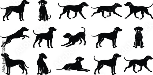 Konstfotografi Labrador, Retriever, dog, silhouette, vector, set, collection, standing, sitting