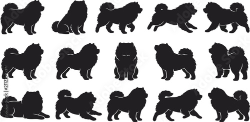 Obraz na płótnie Chow, Chow, dog, silhouette, vector, set, collection, standing, sitting, running