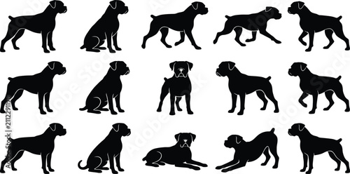 Foto Boxer dog silhouette set, dog poses vector, sitting running standing guard icons