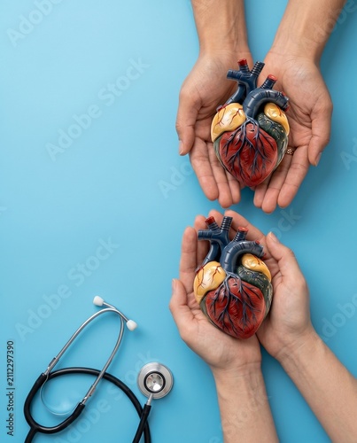 Medical experts holding heart models and a stethoscope on a blue background, cardiology research, cardiac health