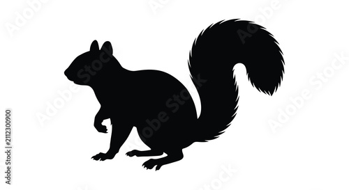 Foto Squirrel Silhouette Against A White Background Black Shape