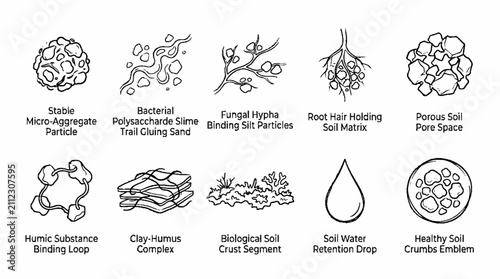 A collection of ten hand drawn illustrations depicting various components and structures of healthy soil.
