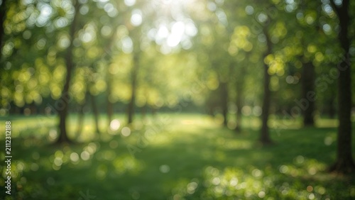 Blurry image of a green forest with sunlight filtering through trees.