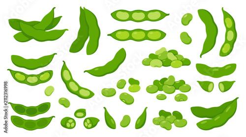 Set of fresh green edamame soybean pods and beans, isolated vegetable elements for healthy nutrition, agriculture, food market, culinary design