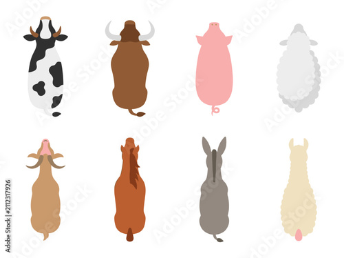 Top down view set of farm animals including cow bull pig sheep goat horse donkey and llama, flat vector illustration