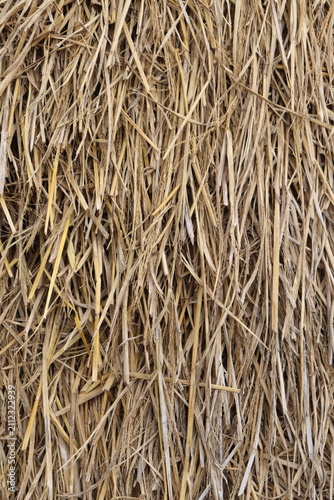 Dry golden straw creates a textured background with interlaced patterns and rural charm